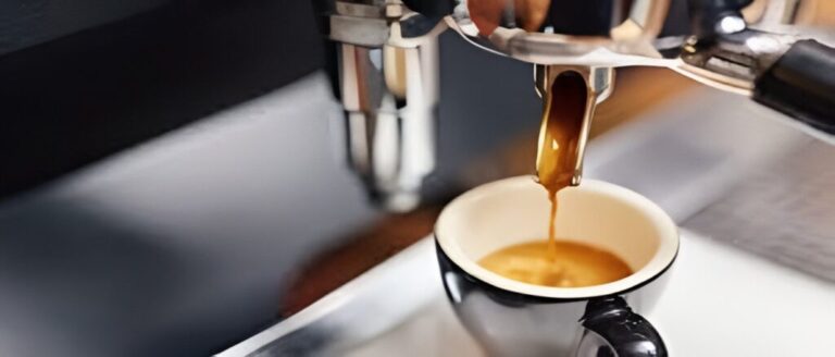 Flavor Balance 1024x437 1 768x328